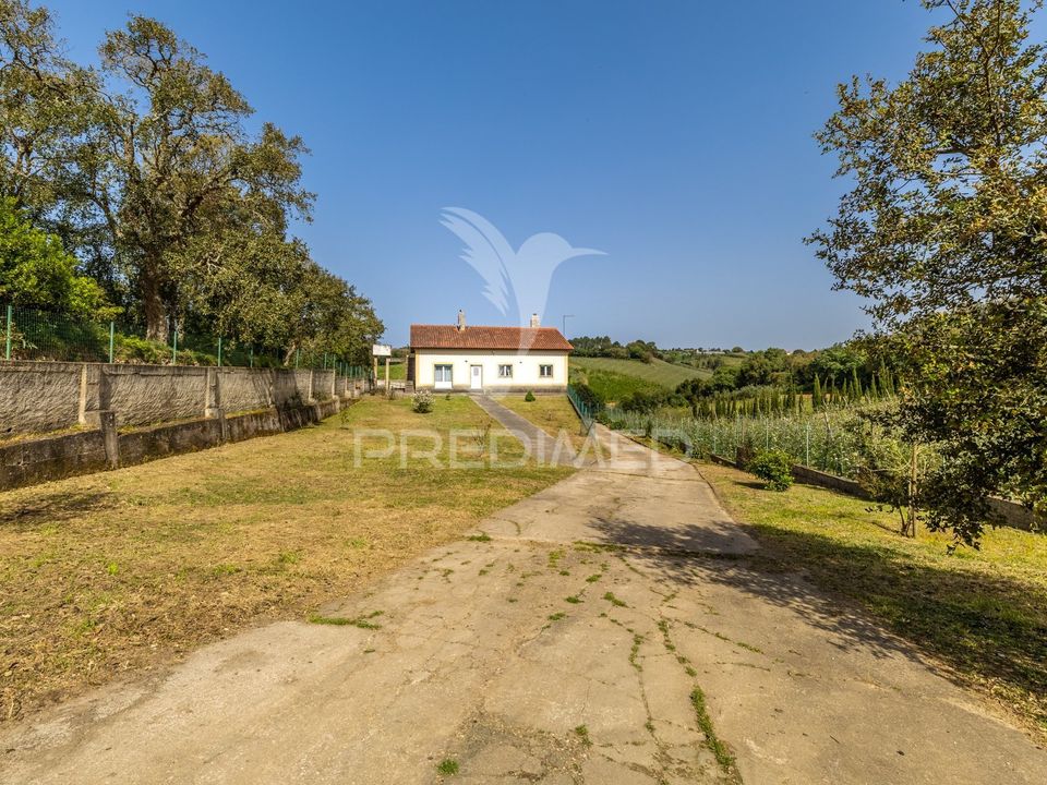 Byhus i Alcobaca, Leiria - foto 3