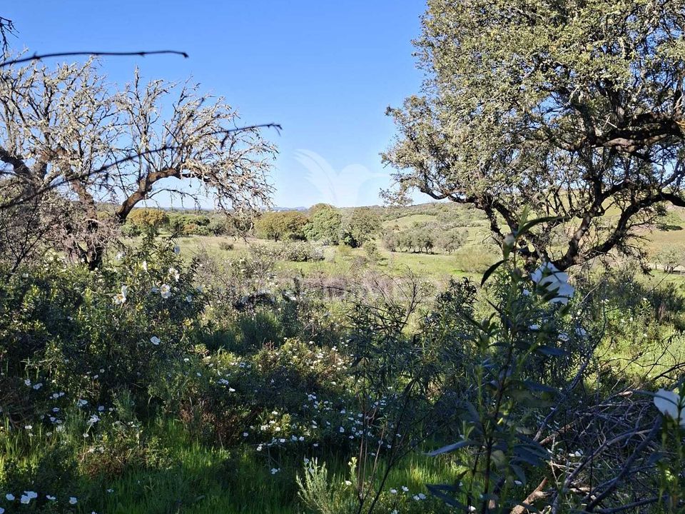 Helårsgrund i Alandroal, Evora - foto 3