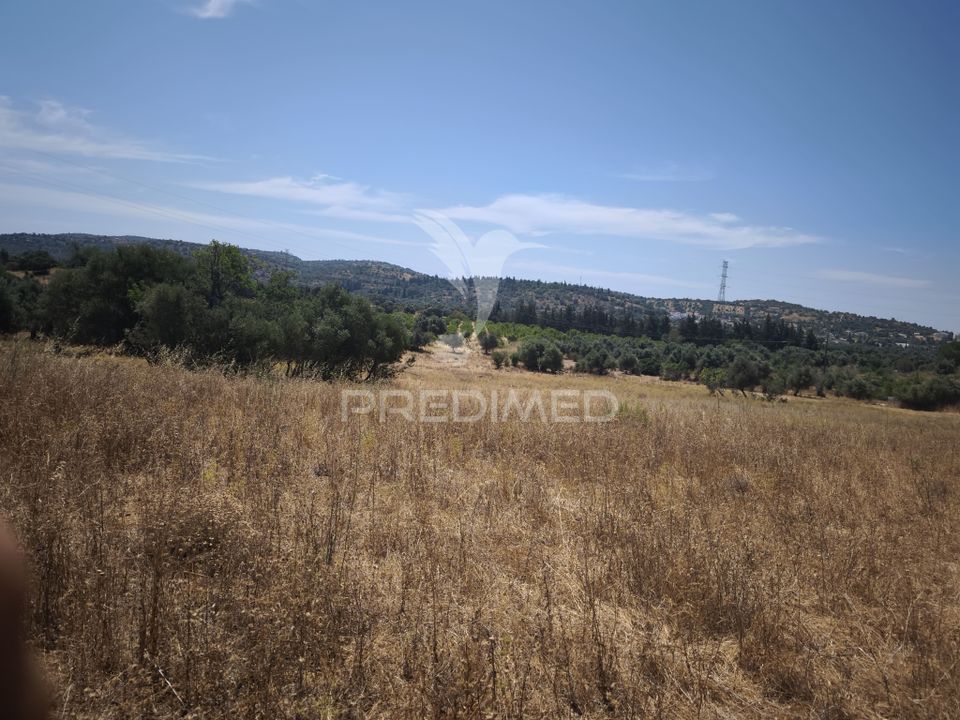 Masia a Albufeira, Faro - foto 1