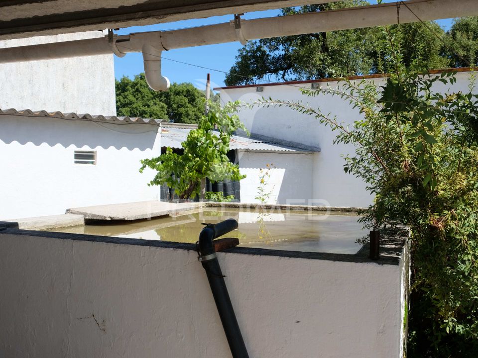 Rekkehus i Ponte de Sor, Portalegre - bilde 5
