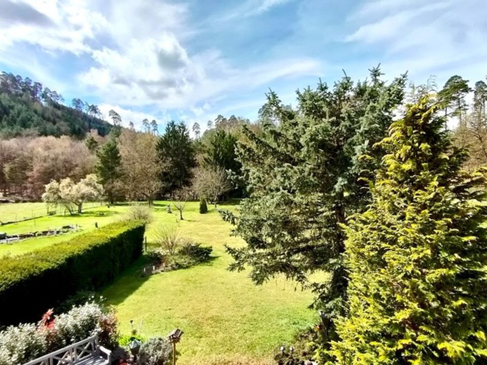 Villa a Niederbronn-les-Bains, Bas-Rhin - foto 5