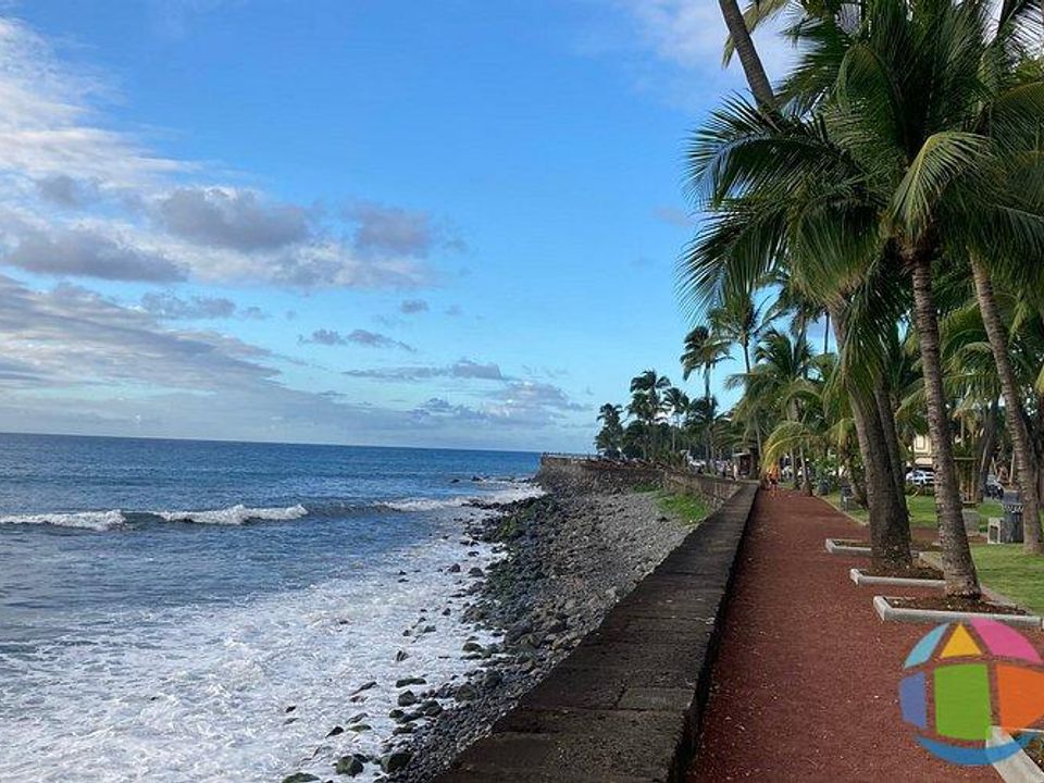 Erhvervsejendom i Saint-Denis, La Reunion - foto 2