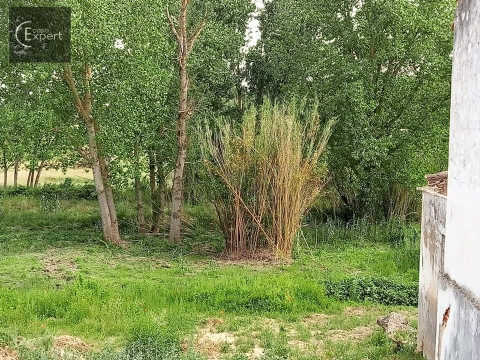 Farm hus i Torrao, Setubal - foto 1