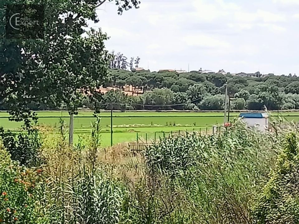 Farm hus i Torrao, Setubal - foto 2