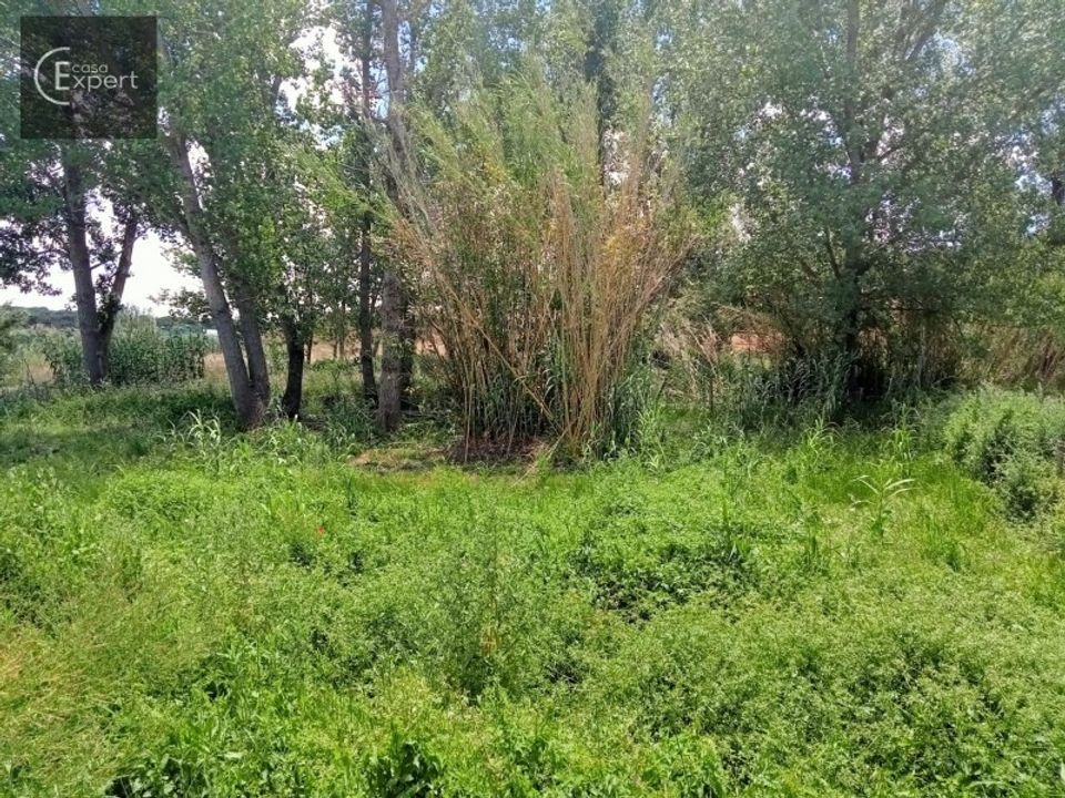 Farm hus i Torrao, Setubal - foto 4