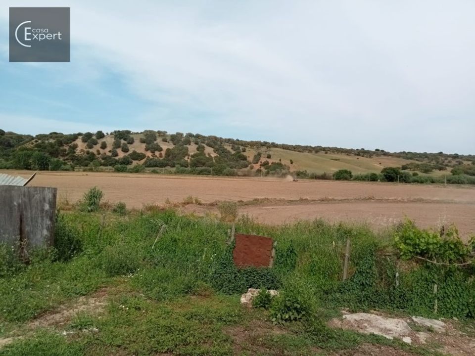 Farm hus i Torrao, Setubal - foto 5