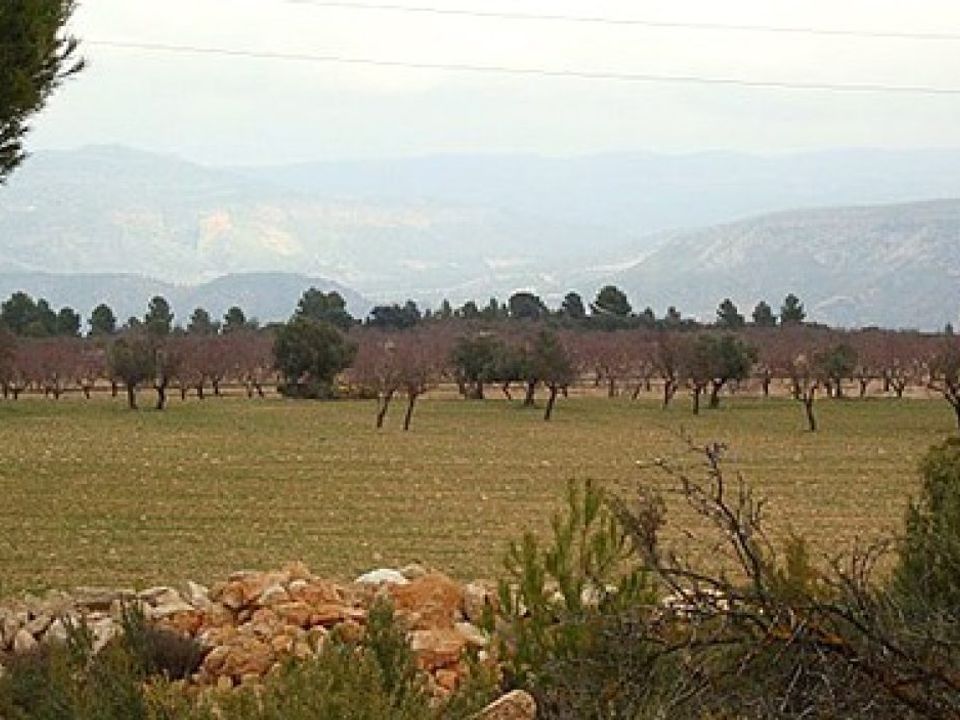 Helårsgrund i Zarra, Valencia - foto 4