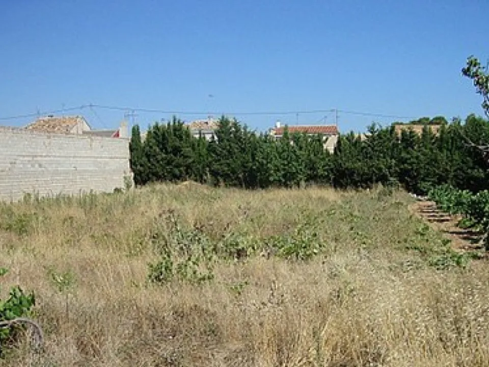Helårsgrund i Requena, Valencia - foto 2