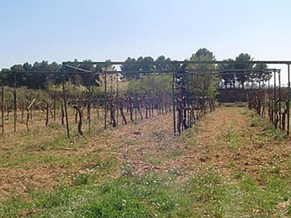 Villa i Ayora, Valencia - foto 2