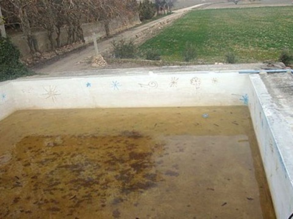 Finca i Almansa, Albacete - bilde 5