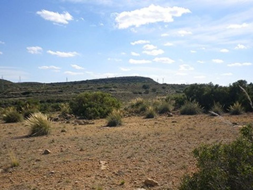 Tomt i Almansa, Albacete - bilde 3
