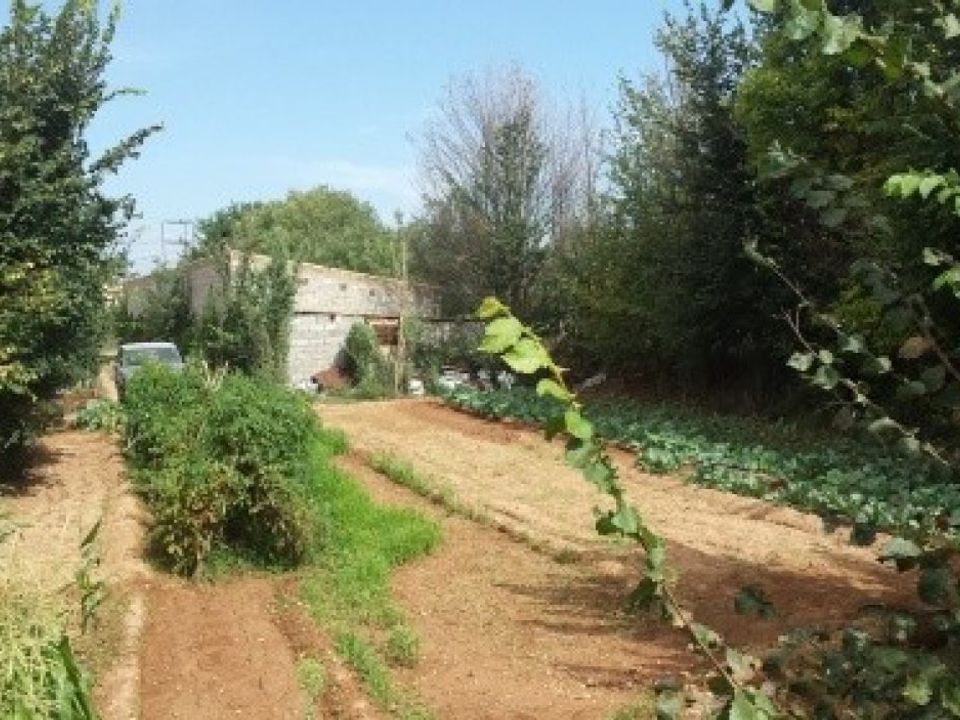 Helårsgrund i Teresa De Cofrentes, Valencia - foto 1