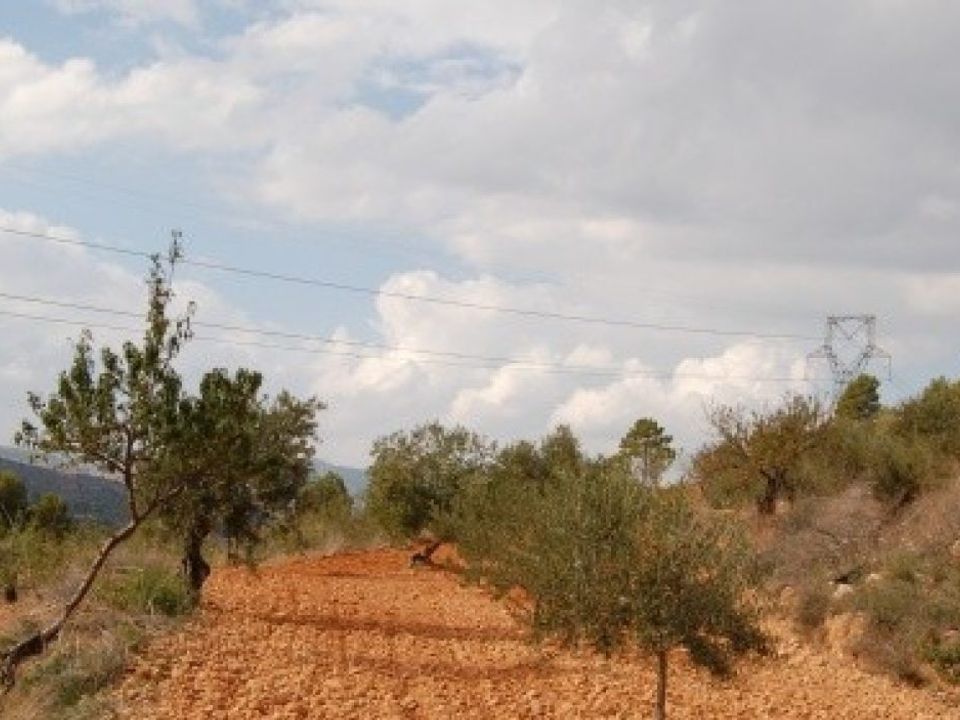 Helårsgrund i Teresa De Cofrentes, Valencia - foto 2