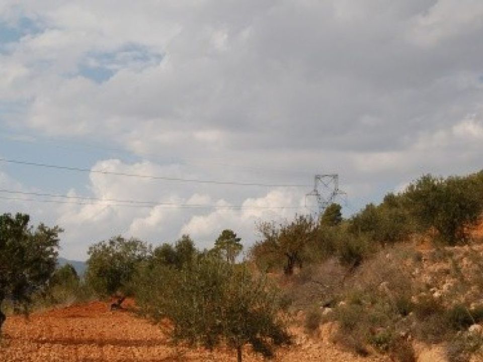 Helårsgrund i Teresa De Cofrentes, Valencia - foto 3