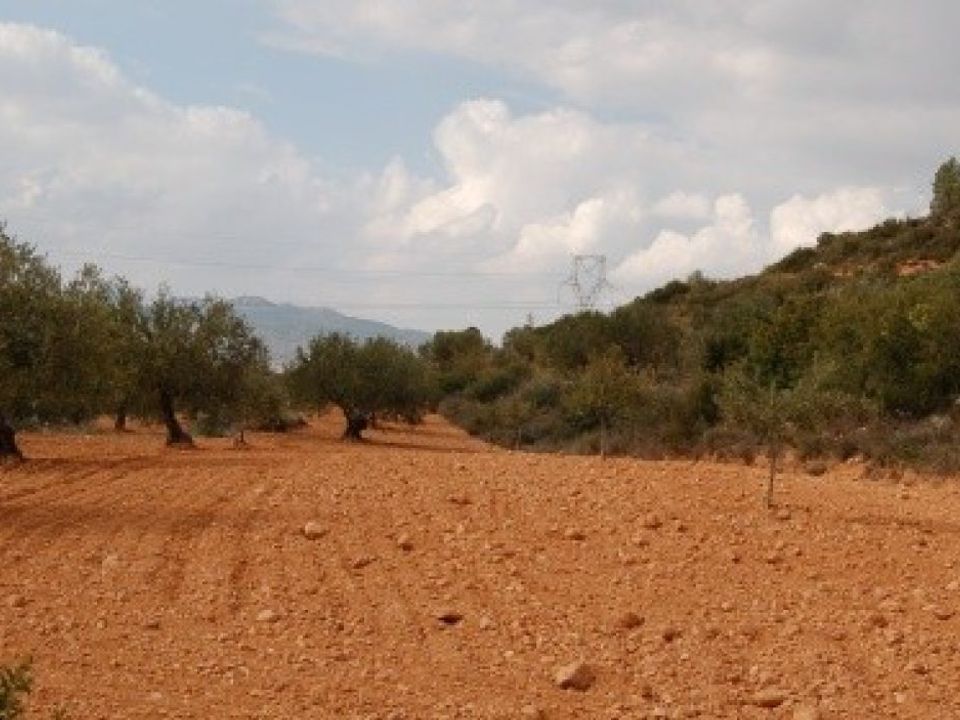 Helårsgrund i Teresa De Cofrentes, Valencia - foto 4
