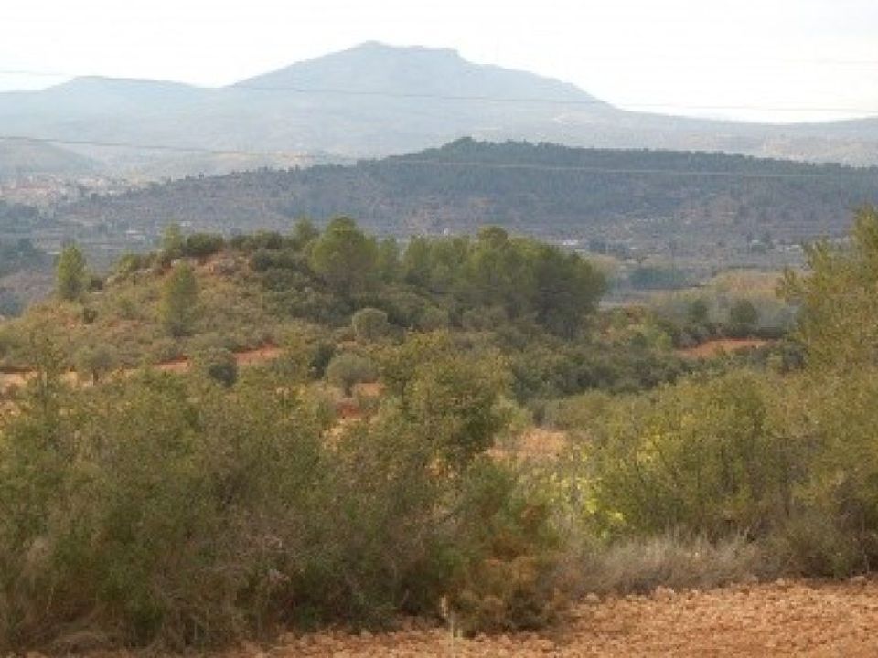 Helårsgrund i Teresa De Cofrentes, Valencia - foto 5
