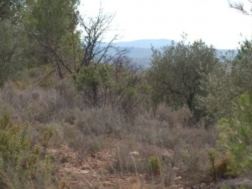 Helårsgrund i Teresa De Cofrentes, Valencia - foto 1