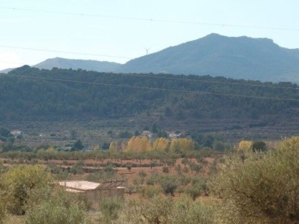 Helårsgrund i Teresa De Cofrentes, Valencia - foto 5