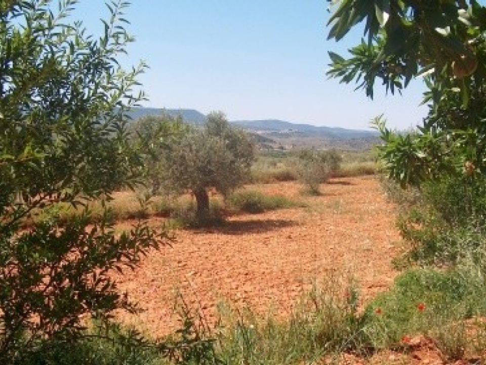 Helårsgrund i Teresa De Cofrentes, Valencia - foto 3
