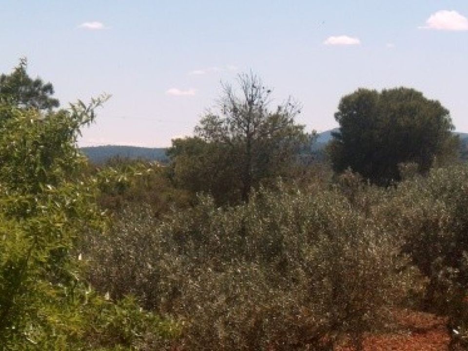 Helårsgrund i Teresa De Cofrentes, Valencia - foto 5