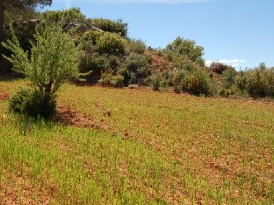 Helårsgrund i Teresa De Cofrentes, Valencia - foto 5