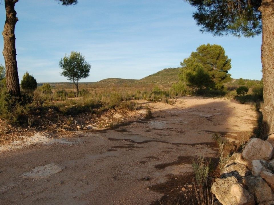 Helårsgrund i Teresa De Cofrentes, Valencia - foto 5