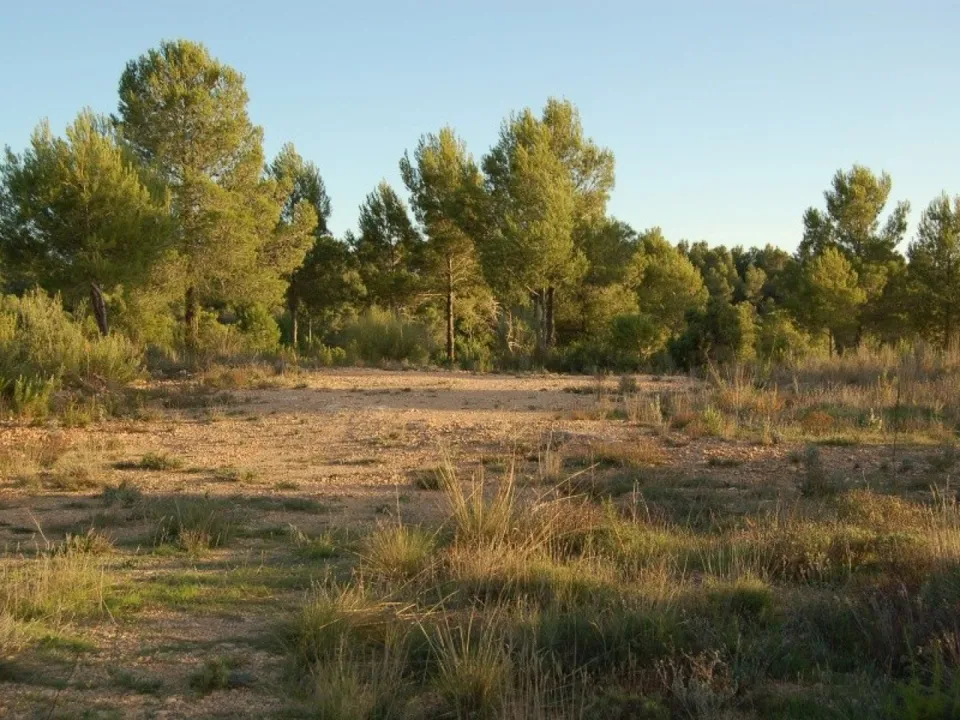 Helårsgrund i Teresa De Cofrentes, Valencia - foto 2