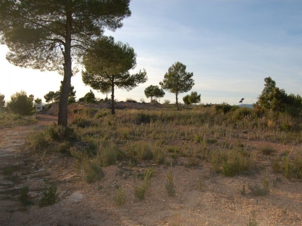 Helårsgrund i Teresa De Cofrentes, Valencia - foto 3