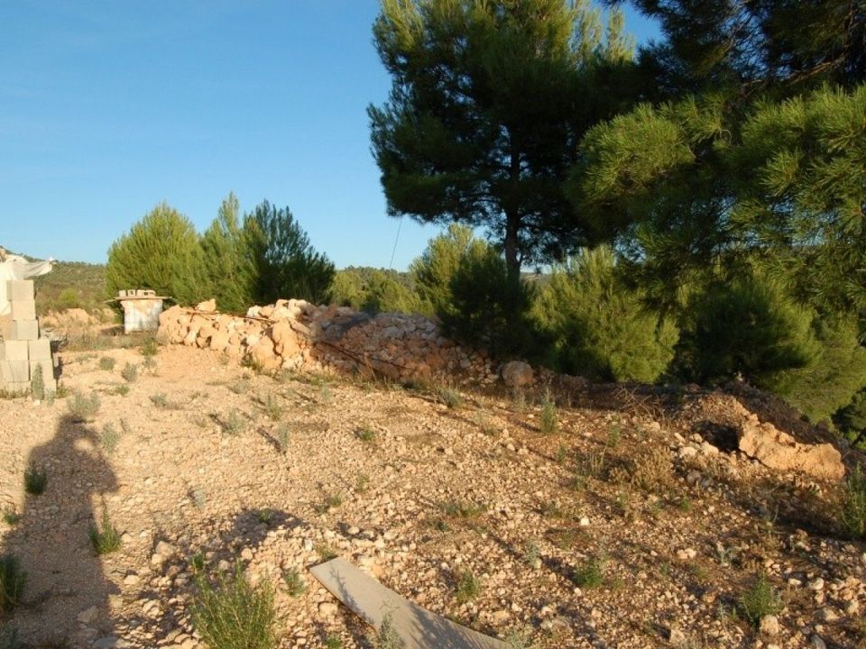 Helårsgrund i Teresa De Cofrentes, Valencia - foto 5