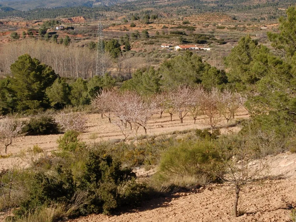 Helårsgrund i Teresa De Cofrentes, Valencia - foto 1