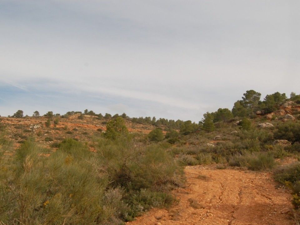 Helårsgrund i Teresa De Cofrentes, Valencia - foto 4