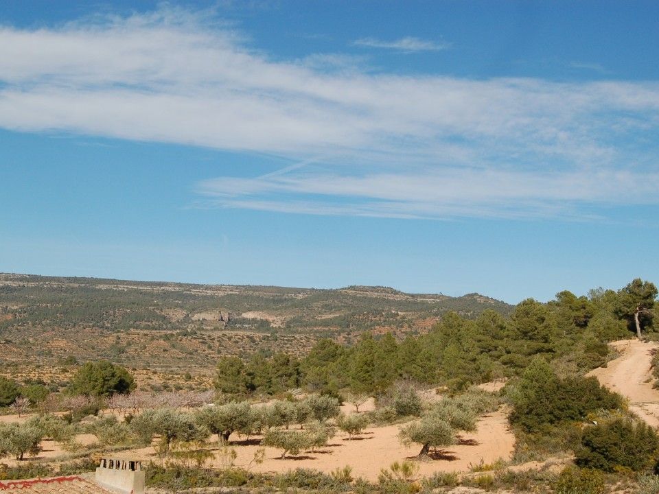 Helårsgrund i Teresa De Cofrentes, Valencia - foto 5