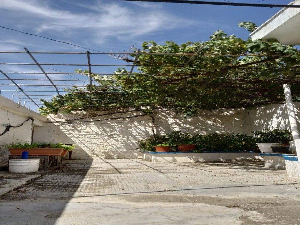 Villa i Alpera, Albacete - foto 4