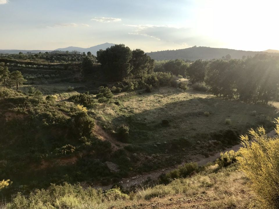 Helårsgrund i Ayora, Valencia - foto 2