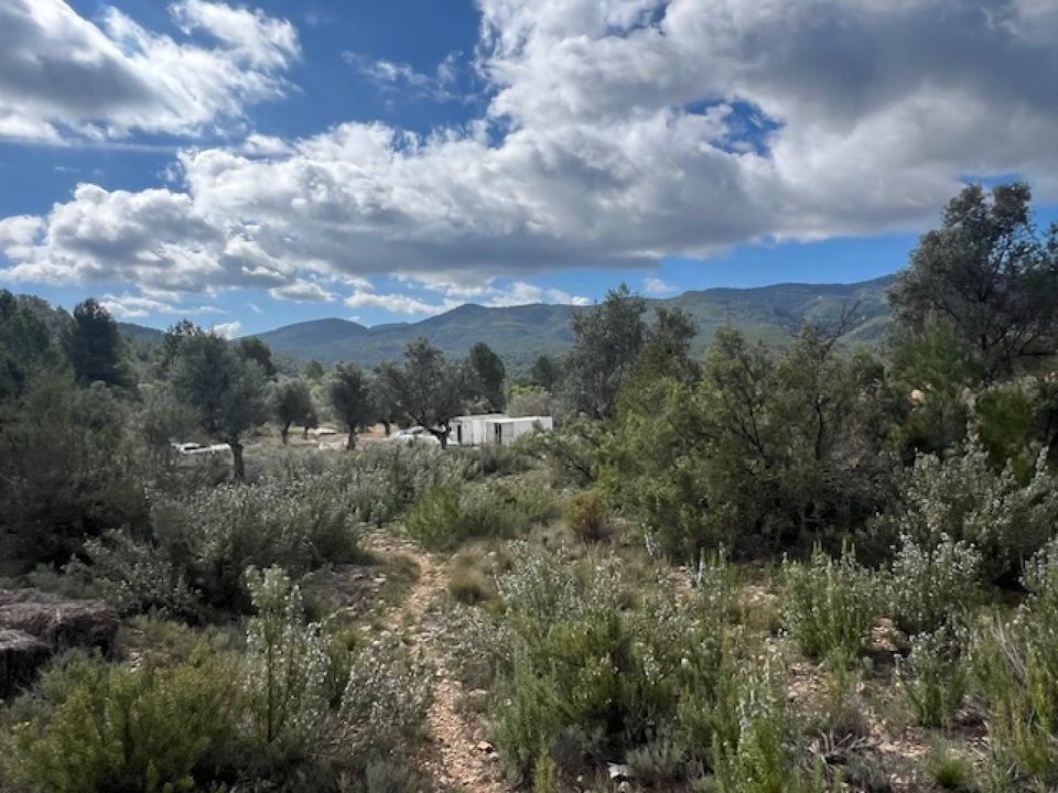 Finca i Teresa De Cofrentes, Valencia - foto 2