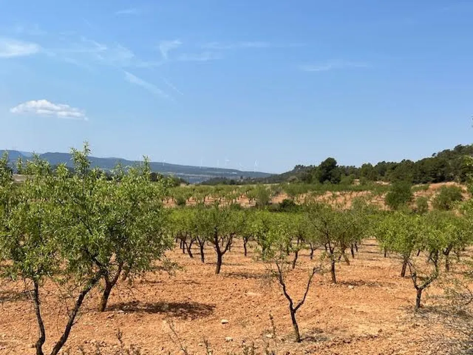 Finca i Ayora, Valencia - foto 1