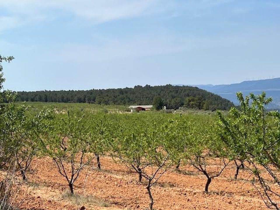 Finca i Ayora, Valencia - foto 4