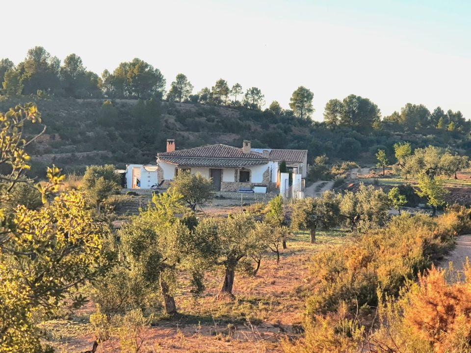 Finca i Teresa De Cofrentes, Valencia - foto 2
