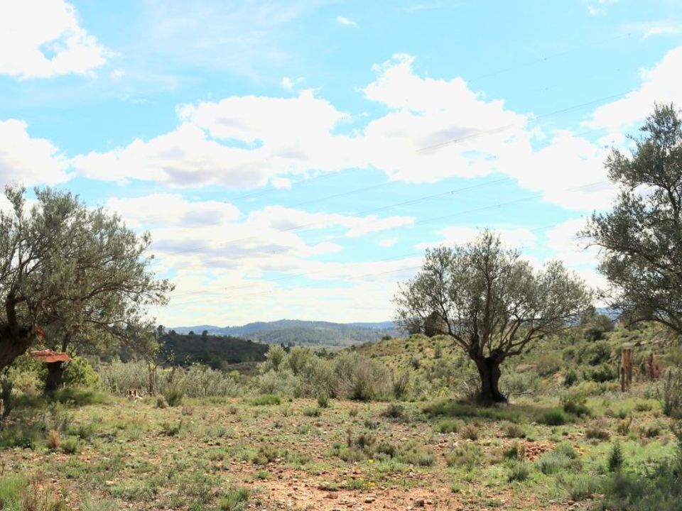 Finca i Teresa De Cofrentes, Valencia - foto 5