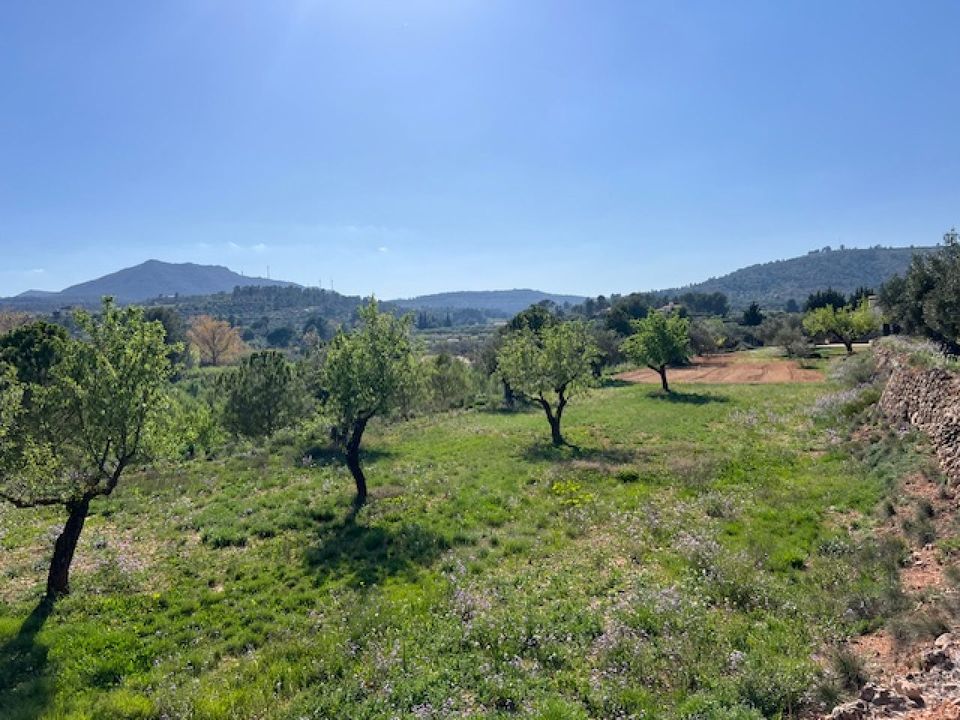 Finca i Ayora, Valencia - foto 4