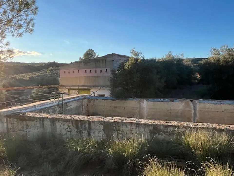 Finca i Teresa De Cofrentes, Valencia - foto 3