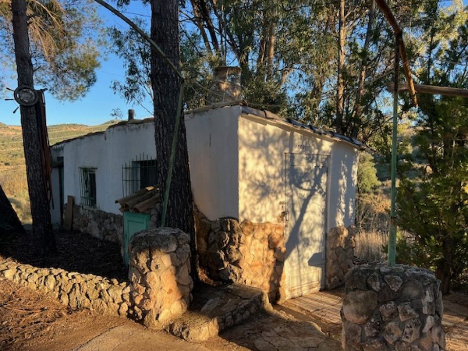 Finca i Teresa De Cofrentes, Valencia - foto 5