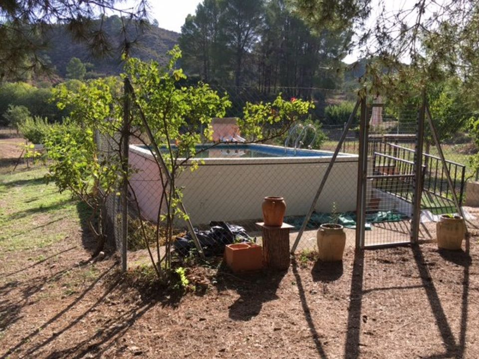 Finca i Jarafuel, Valencia - foto 2
