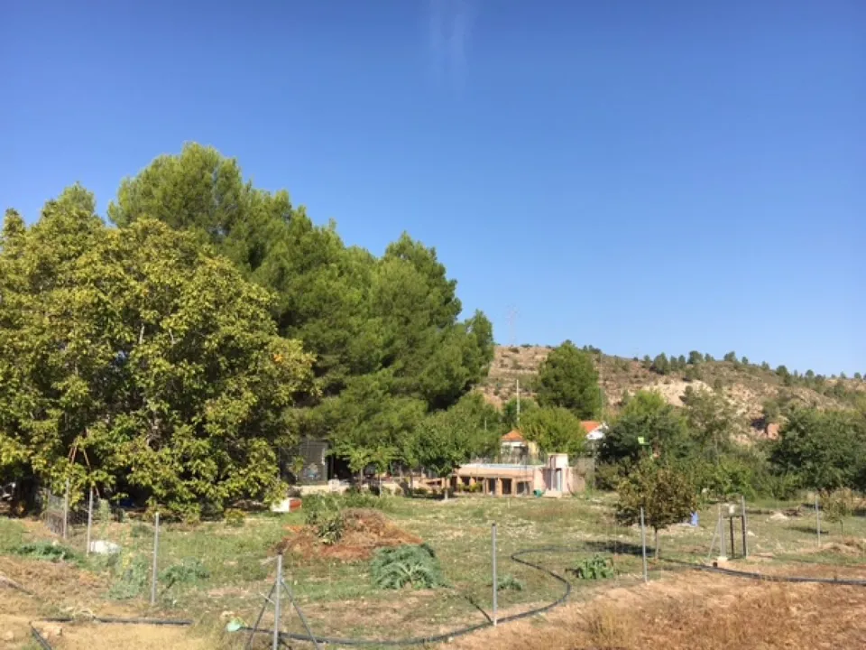 Finca i Jarafuel, Valencia - foto 3