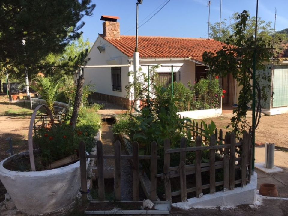 Finca i Jarafuel, Valencia - foto 5