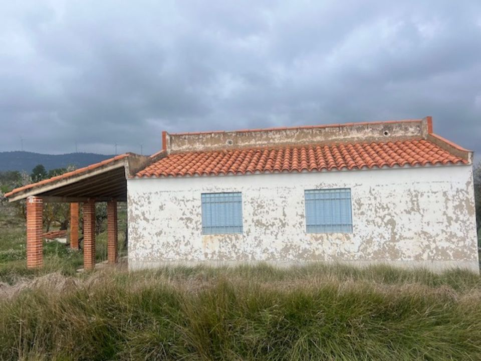 Finca i Jarafuel, Valencia - foto 5