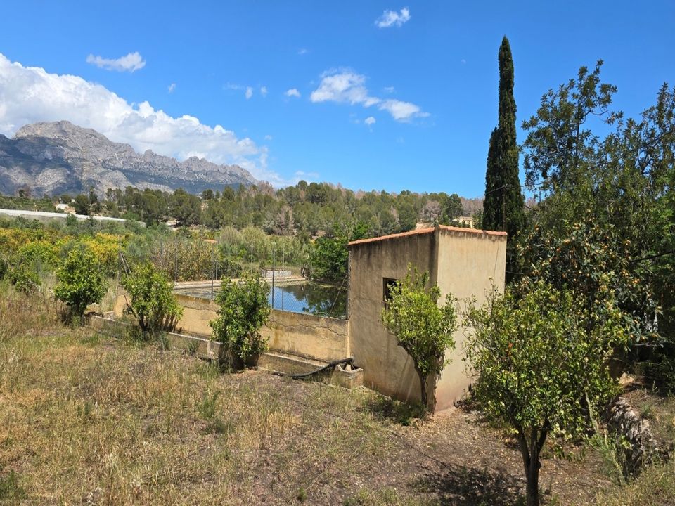 Helårsgrund i La Nucia, Alicante - foto 3