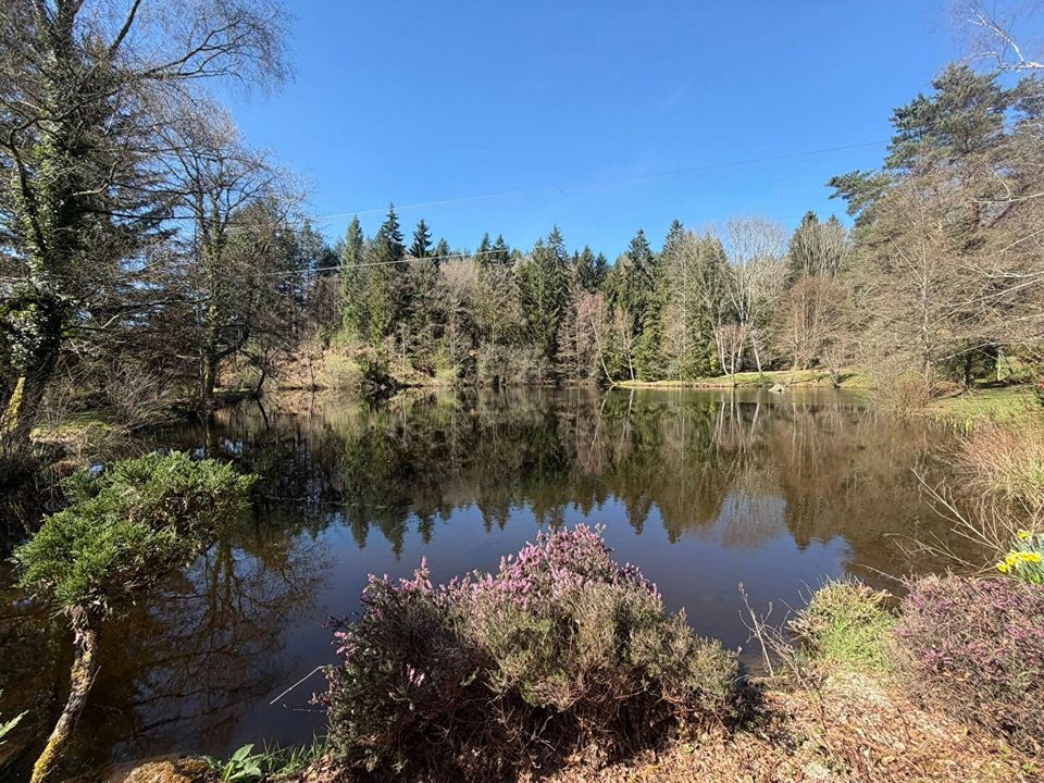 Villa i Cieux, Haute-Vienne - foto 2