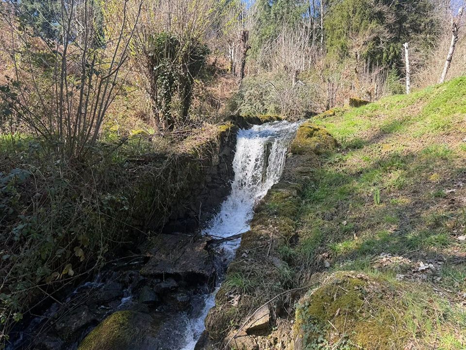 Villa i Cieux, Haute-Vienne - foto 3