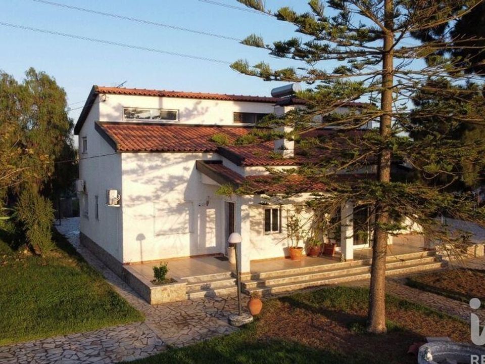 Gård i Benavente, Santarem - bilde 3